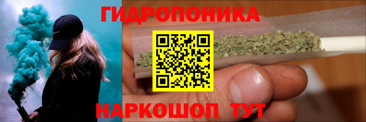 Шишки марихуана конопля  Шишки марихуана семена  Сергиев Посад  Вход с VPN  Конопля планчик 